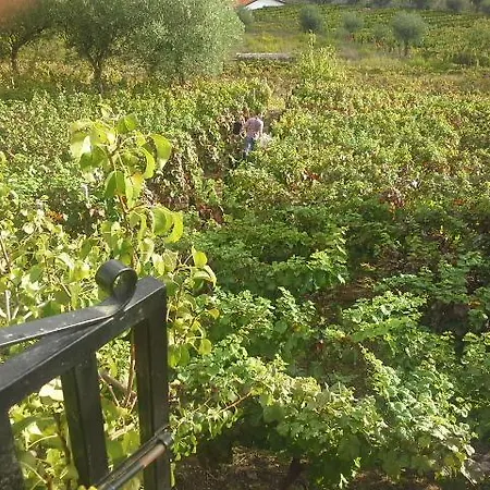 A Casa Das Vinhas Douro 招待所 Valdigem
